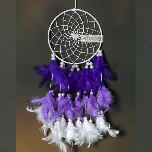 Alluring dream catcher light & dark blue feather