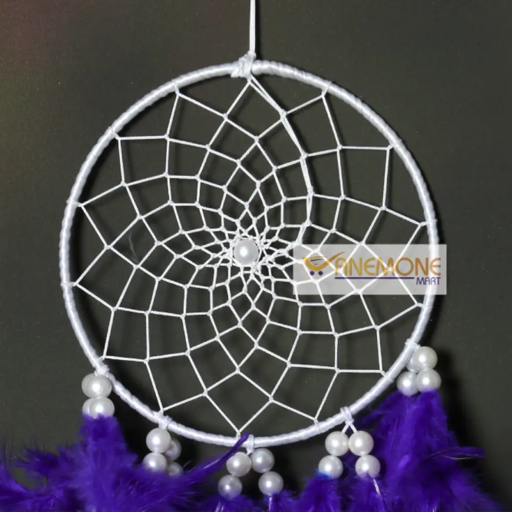 Alluring dream catcher light & dark blue feather