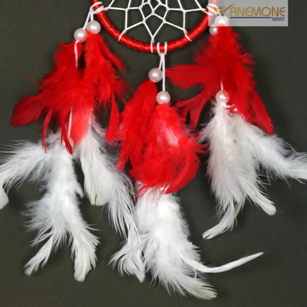 Car Dream Catcher with Red & White Feathers  | Car Hanging