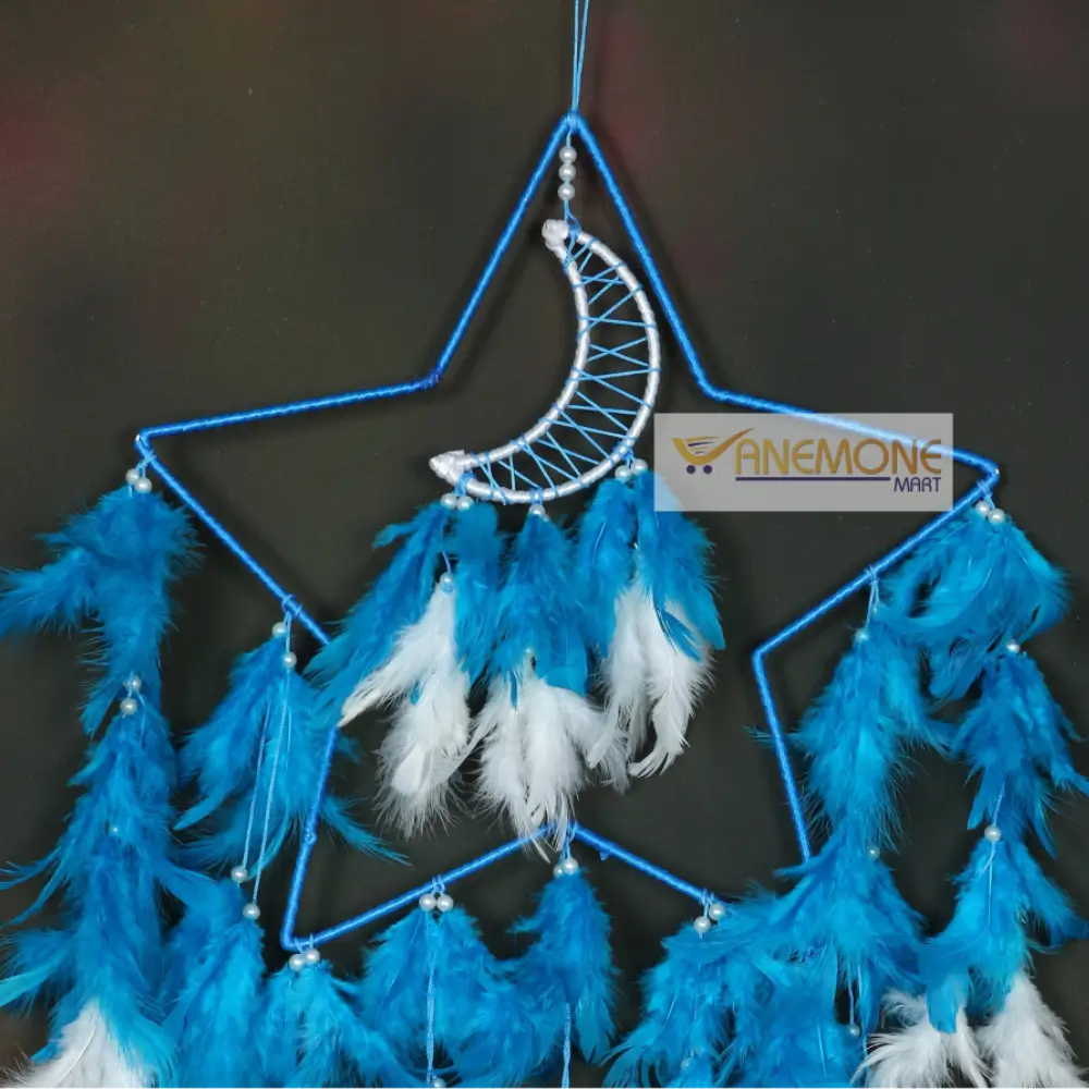 Star Moon Dream Catcher with Sky Blue & White Feathers