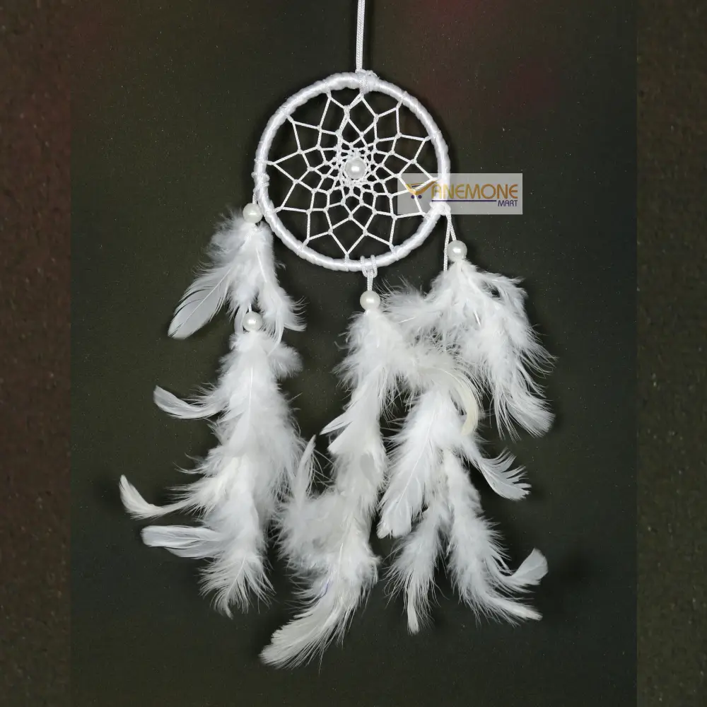 car dream catcher white feathers